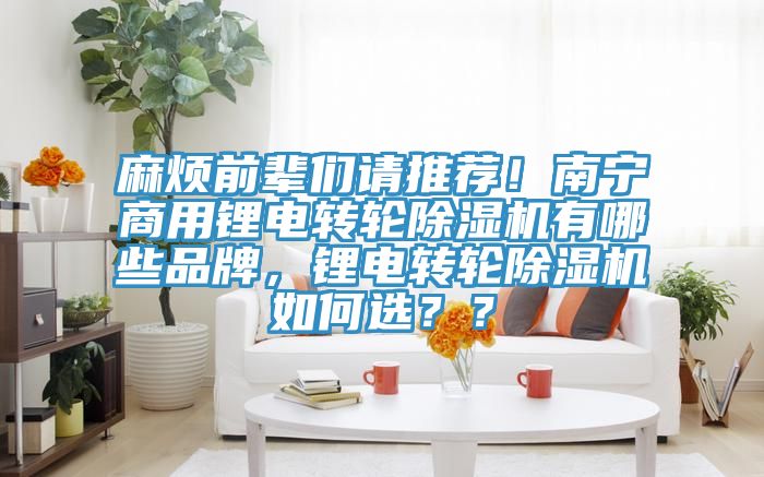 麻煩前輩們請推薦!南寧商用鋰電轉輪除濕機有哪些品牌,鋰電轉輪除濕機如何選??